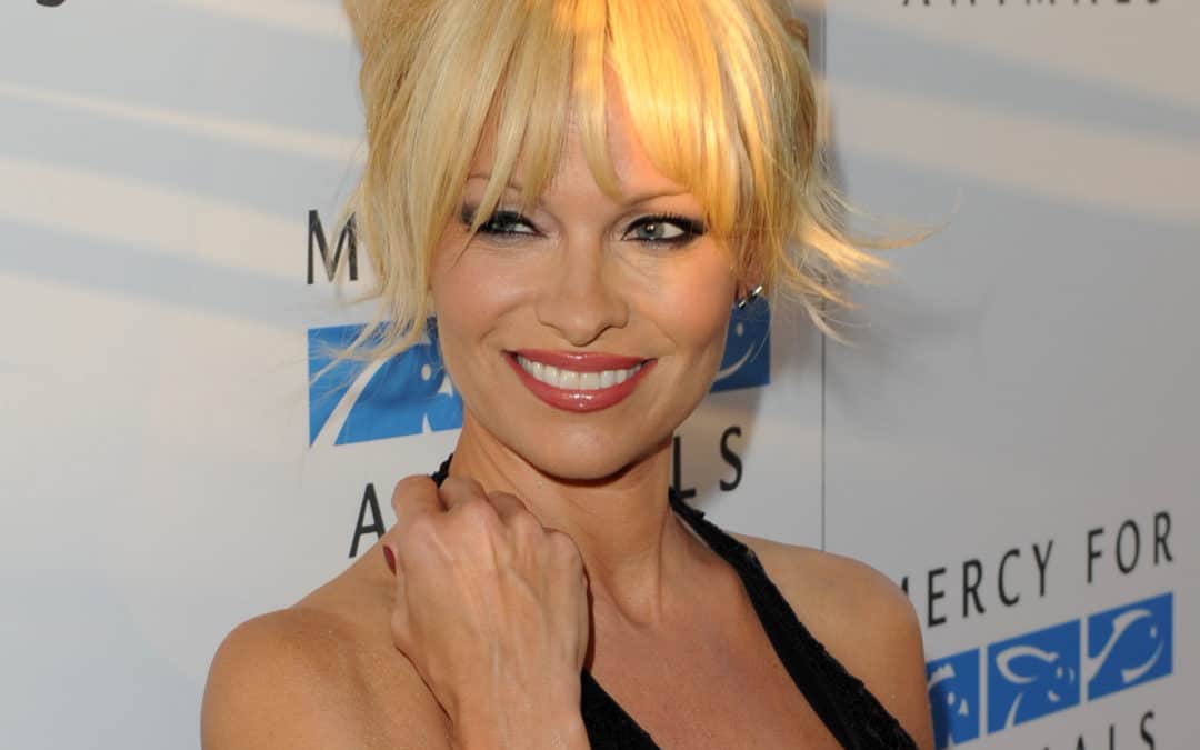 Discovered At A Football Game…