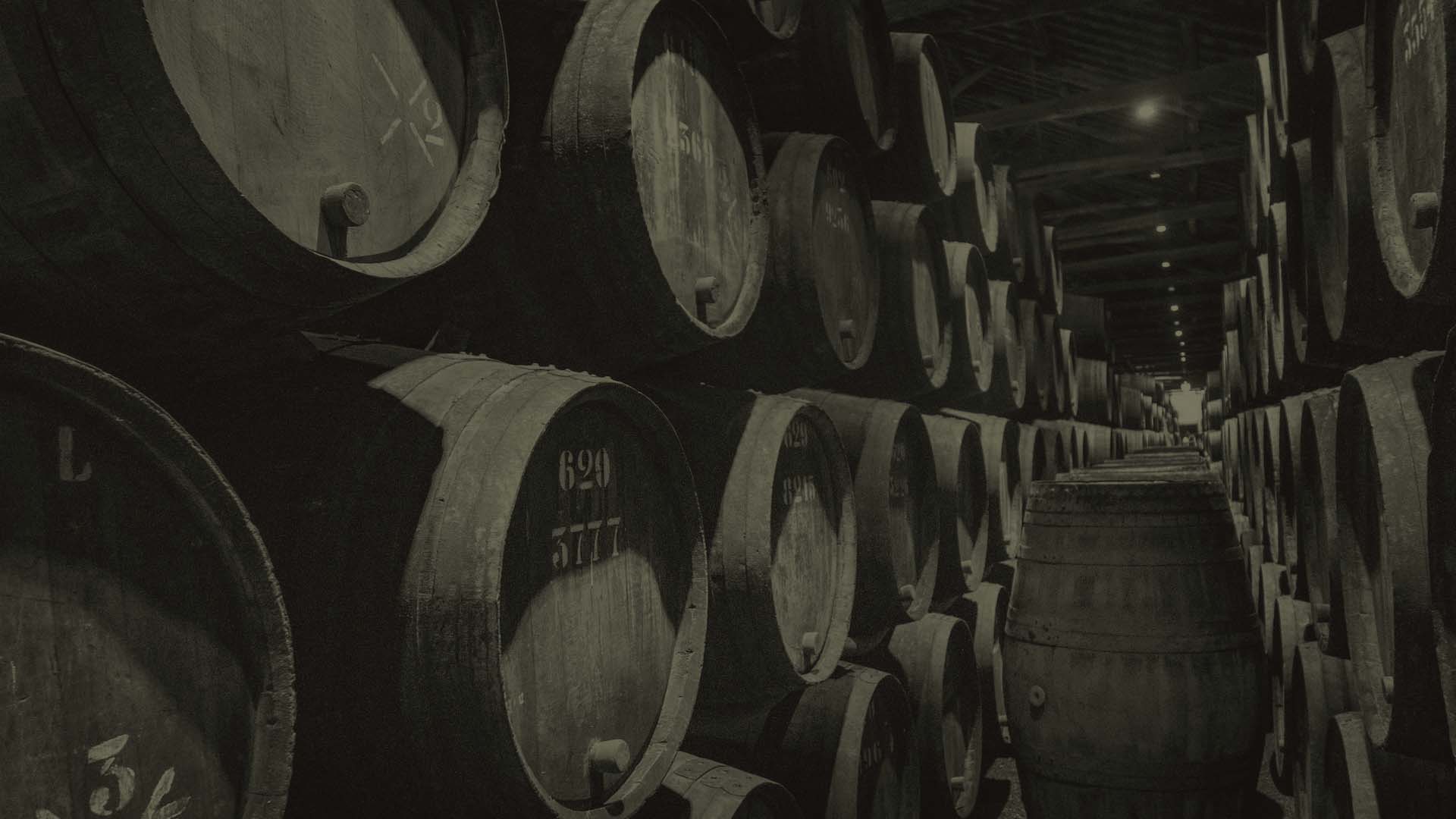 Inside Our Vineyards: A Visual Tour of Our Grapes