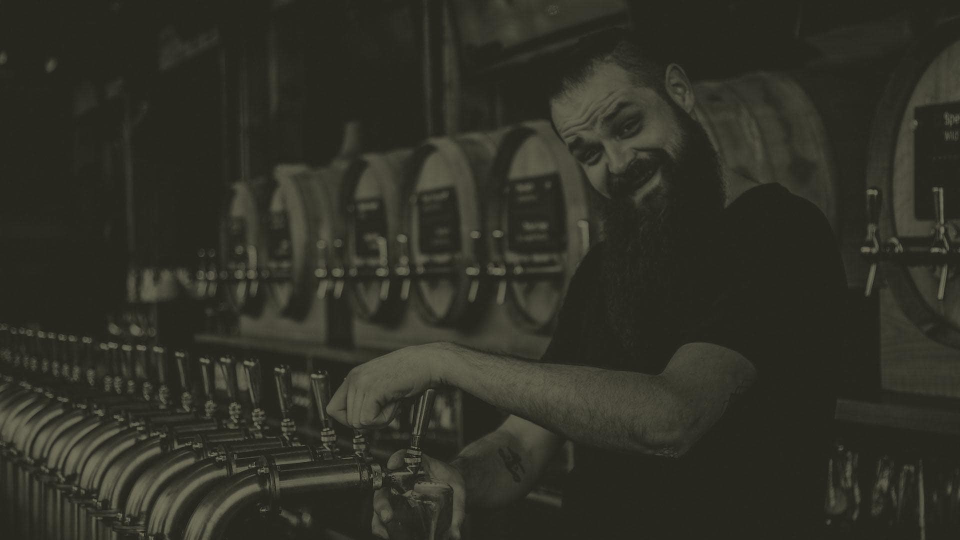 The Influence of Oak Barrels on Wine: A Brief Overview