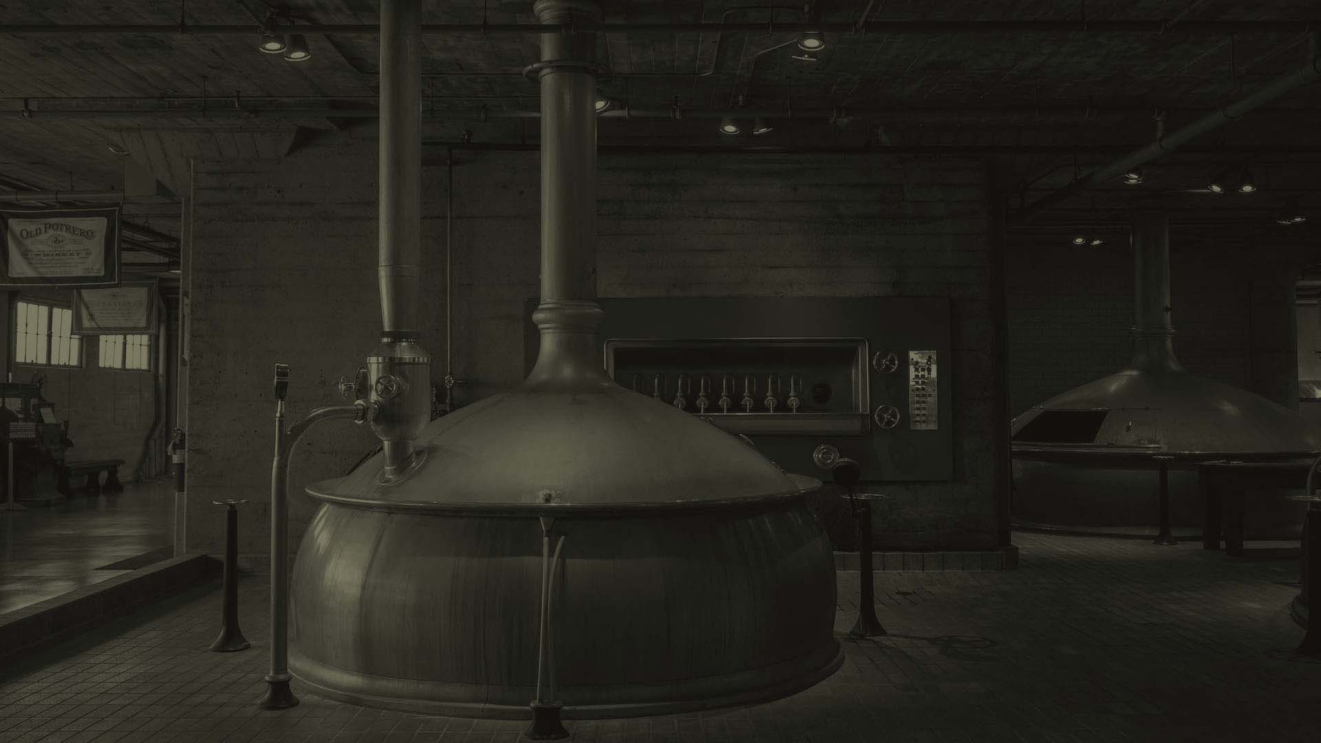 From Ancient Times to Today: A Brief History of Our Winery